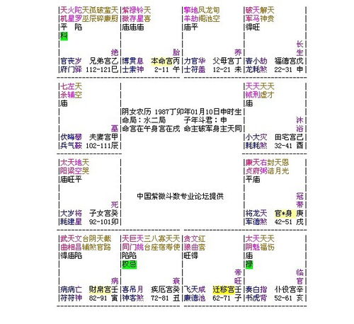 紫薇星远程教育视频（紫薇星公司官方网站）