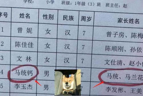 姓王两字名字大全男孩名字大全（姓王男孩名字好听时尚两个字）