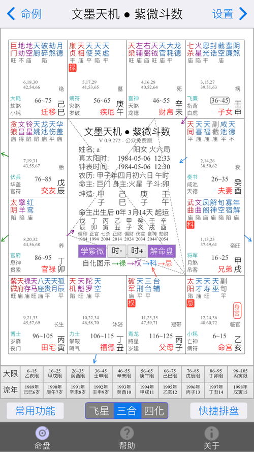 疾厄宫太阳化忌什么意思（疾厄宫太阳化科）