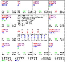 紫薇斗数太阴星详解（太阴坐命 紫微斗数吧）