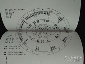 紫薇斗数太阴星详解（太阴坐命 紫微斗数吧）