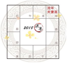 今日紫薇星运势（紫薇今日运程）