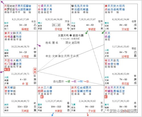 紫薇星怎么排位置（紫薇星位置推算）