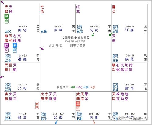 紫薇星曜怎么看（紫微斗数星曜含义）