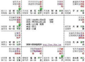 佩妮星座12月运势处女座（202012月处女座运势）