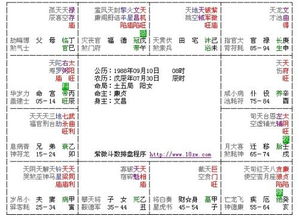 【原】紫微斗数是如何排盘的，其实不难，有8个步骤紫微斗数十二宫之命身宫