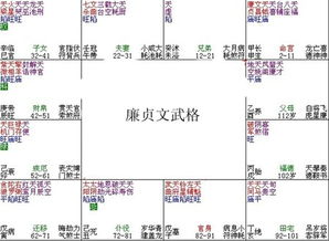 紫微斗数十大贵命命格怎么看女命富贵程度,紫微斗数命盘详解紫府同在命宫,紫微斗数三大最好的命格