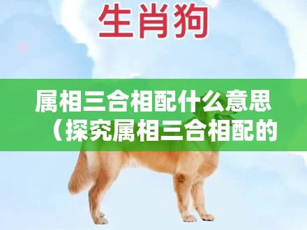 属相三合相配什么意思（探究属相三合相配的含义与奥秘：揭秘生肖搭配的秘密法则）