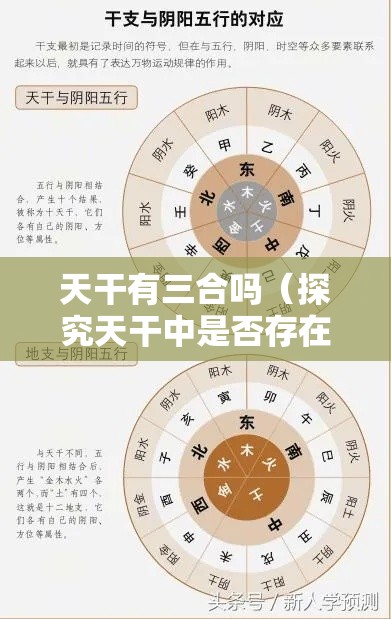 天干有三合吗（探究天干中是否存在三合之谜）