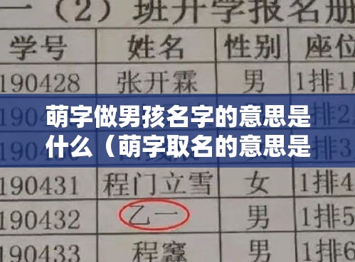 萌字做男孩名字的意思是什么（萌字取名的意思是什么）