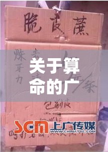 关于算命的广告（关于算命的广告语有哪些）