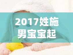 2017姓施男宝宝起名字（姓施的男孩取什么名字好）