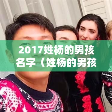 2017姓杨的男孩名字（姓杨的男孩儿名字）