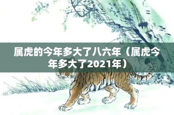 属虎的今年多大了八六年（属虎今年多大了2021年）