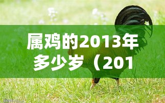 属鸡的2013年多少岁（2013年属鸡的是什么命）