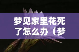 梦见家里花死了怎么办（梦见家里的花全部枯死了）