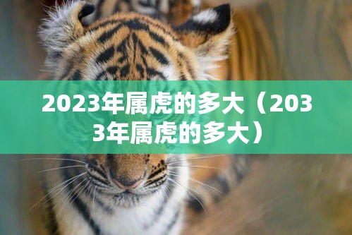 2023年属虎的多大（2033年属虎的多大）