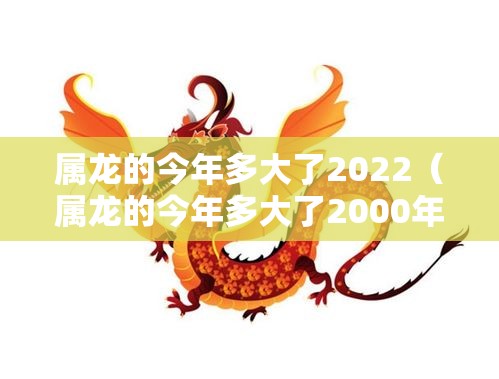 属龙的今年多大了2022（属龙的今年多大了2000年出生的人）