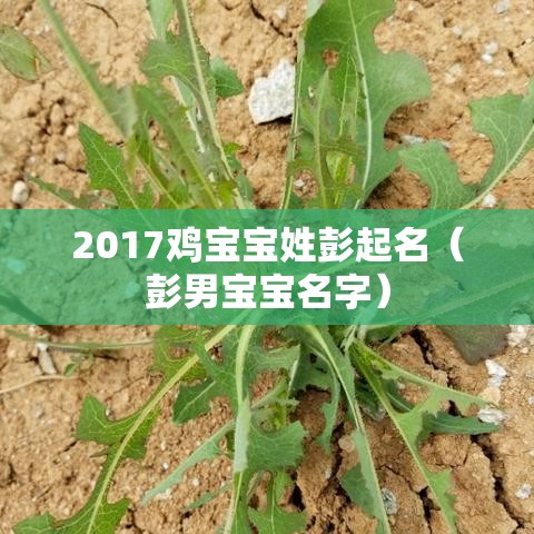 2017鸡宝宝姓彭起名（彭男宝宝名字）