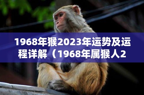 1968年猴2023年运势及运程详解（1968年属猴人2023年财运）