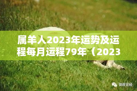 属羊人2023年运势及运程每月运程79年（2023羊人全年运势1979）