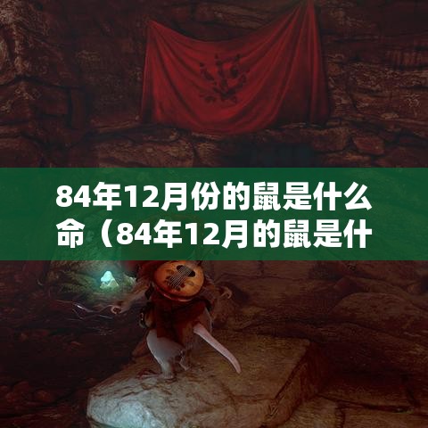 84年12月份的鼠是什么命（84年12月的鼠是什么命的人）