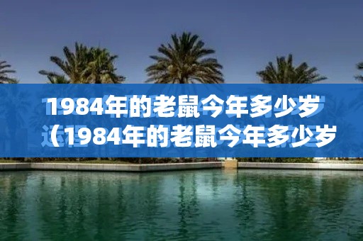 1984年的老鼠今年多少岁（1984年的老鼠今年多少岁了）