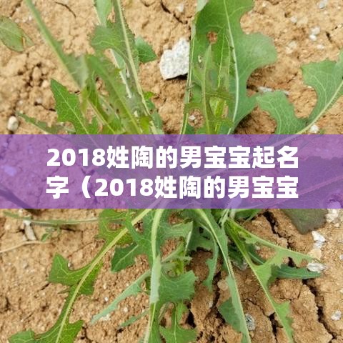 2018姓陶的男宝宝起名字（2018姓陶的男宝宝起名字大全）