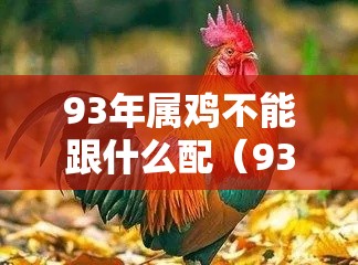 93年属鸡不能跟什么配（93年属鸡和什么属在一起最好?）