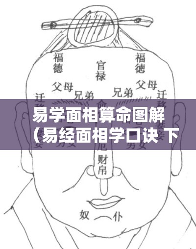 易学面相算命图解（易经面相学口诀 下载）