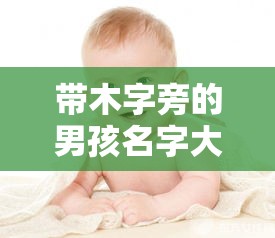 带木字旁的男孩名字大全集（带木字旁男孩名字洋气）