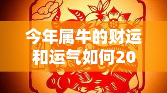 今年属牛的财运和运气如何2023（今年属牛的财运和运气如何）