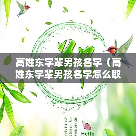 高姓东字辈男孩名字（高姓东字辈男孩名字怎么取）