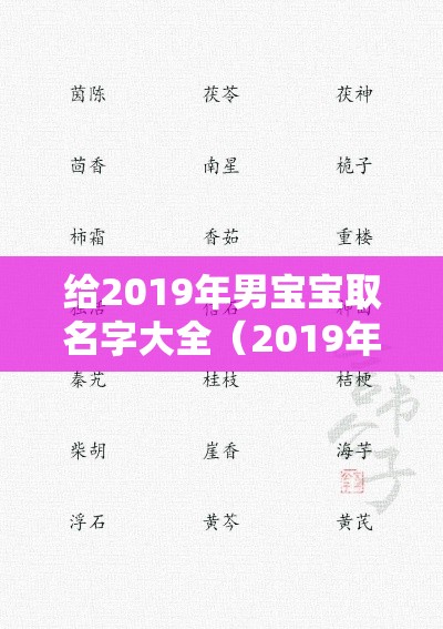 给2019年男宝宝取名字大全（2019年男孩子取名）