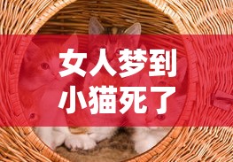 女人梦到小猫死了怎么办（女人梦见猫死了是不吉之兆）