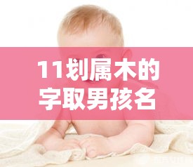 11划属木的字取男孩名字有哪些（11划属木的字取男孩名字有哪些呢）