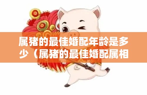 属猪的最佳婚配年龄是多少（属猪的最佳婚配属相是什么属相）