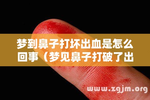 梦到鼻子打坏出血是怎么回事（梦见鼻子打破了出血了）