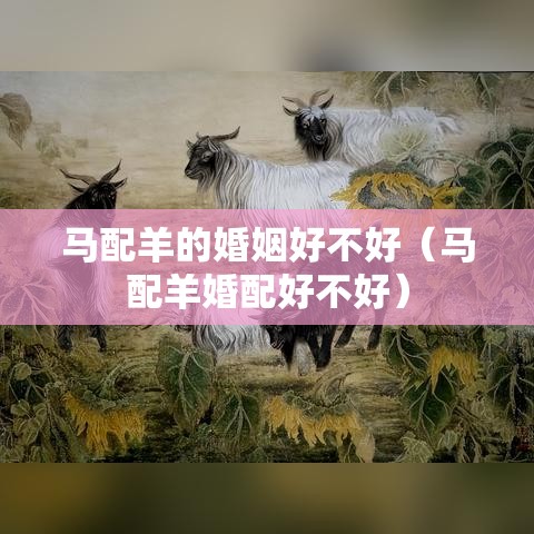 马配羊的婚姻好不好（马配羊婚配好不好）