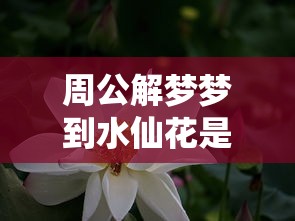 周公解梦梦到水仙花是怎么回事（做梦梦到水仙花是什么意思）