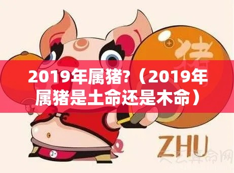 2019年属猪?（2019年属猪是土命还是木命）