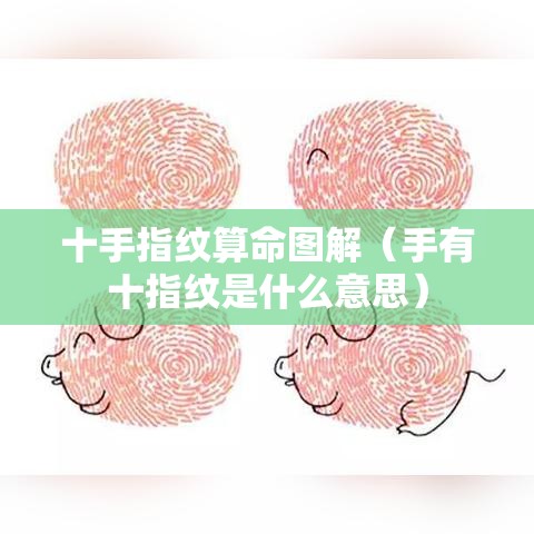 十手指纹算命图解（手有十指纹是什么意思）