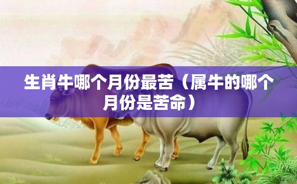 生肖牛哪个月份最苦（属牛的哪个月份是苦命）