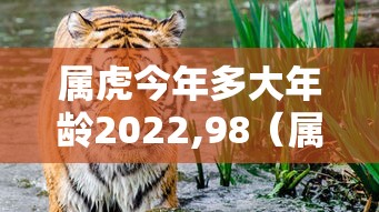 属虎今年多大年龄2022,98（属虎的今年多大2022）