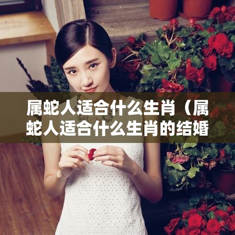 属蛇人适合什么生肖（属蛇人适合什么生肖的结婚）