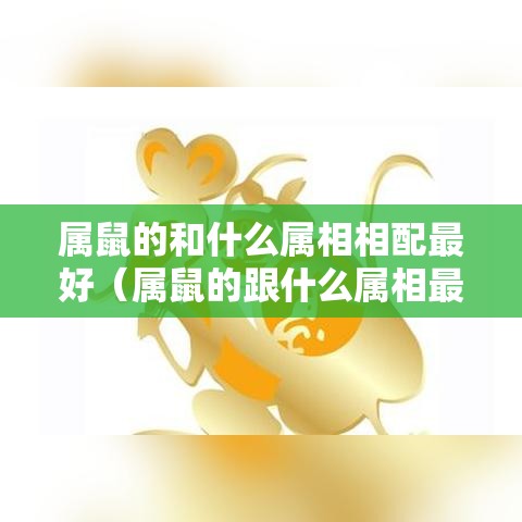 属鼠的和什么属相相配最好（属鼠的跟什么属相最配对）