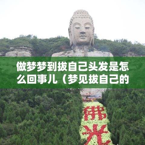 做梦梦到拔自己头发是怎么回事儿（梦见拔自己的头发是什么意思）