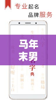 马年末男宝宝起名大全（马年男孩取名 2000个好听的男孩名字推荐）