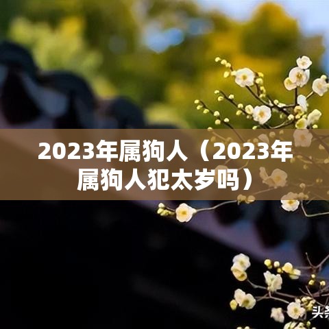 2023年属狗人（2023年属狗人犯太岁吗）