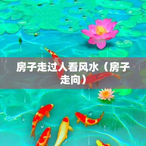 房子走过人看风水（房子走向）